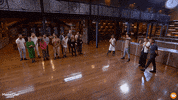 GIF by MasterChefAU
