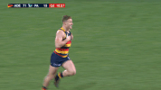 taylor walker love GIF by Adelaide Crows