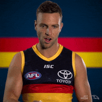 adelaidecrows 2019 afl adelaide crows afc media GIF