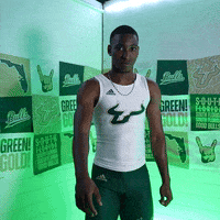 South Florida Horns Up GIF by USF Athletics