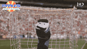 football soccer GIF by Garbaim