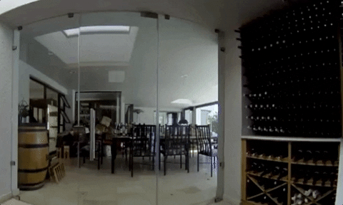 LonghouseWines giphygifgrabber wine wine drunk wine fail GIF