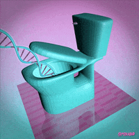 fox artists on tumblr GIF by Animation Domination High-Def