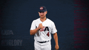 Pro GIF by USA Baseball