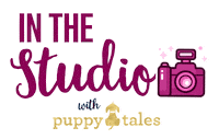 Photo Shoot Dog Sticker by puppytales