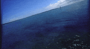 music video rock the boat mv GIF