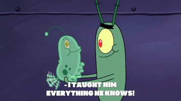 season 9 safe deposit krabs GIF by SpongeBob SquarePants