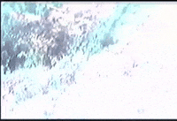 Vhs Color GIF by jorgemariozuleta
