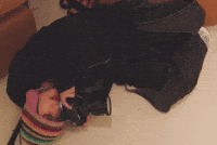 Photographer 시연 GIF