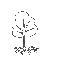 Orange Grow Sticker by Incubator Studio