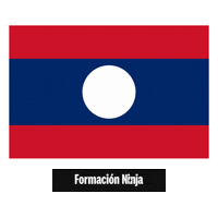 Flag Pixel Art Sticker by Formación Ninja