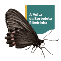 Vale Sticker by valenobrasil