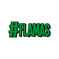 Oanse Flamas Sticker