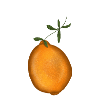ronjarumley orange fruit appelsin Sticker