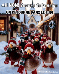 Fait Au Canada GIF by TresorsDuMonde.ca