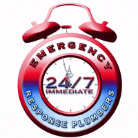 emergencyresponseplumbers  GIF