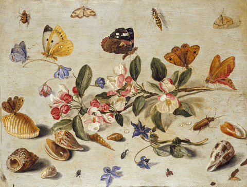 flower butterfly GIF by Ashmolean Museum