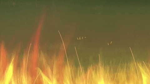 Bugs GIF by khai dreams