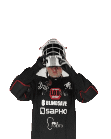 Floorball Goalie Sticker by BLACK ANGELS