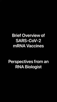 Cornell PhD Candidate Explains How Coronavirus mRNA Vaccines Work
