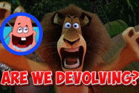 Patrick Meme GIF