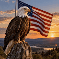 Intensifies American GIF by Election