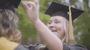 Celebrate South Carolina GIF by University of South Carolina