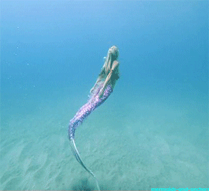 mermaid ocean gif GIF