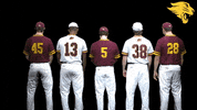 D3B GIF by CUCougars