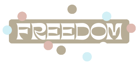 Independence Day Freedom Sticker by Citipointe Church