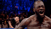deontay wilder GIF by SHOWTIME Sports