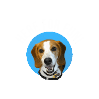Humane Society Dog Sticker by Humane Society of Broward County