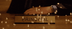 pricipal GIF by Dirty Heads