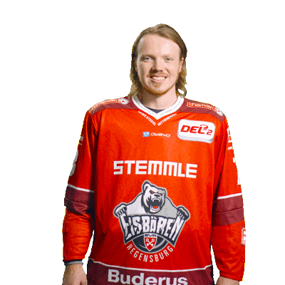 Goal Win Sticker by Eisbären Regensburg