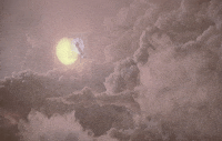 terry gilliam brazil GIF by Maudit