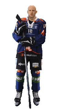 Ice Hockey Sport Sticker by Rittner Buam