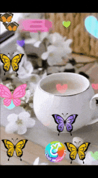 Nuevo Dia Gracias GIF by Murcianys LLC