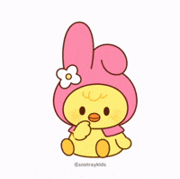 Stray Kids Skz GIF