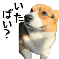 Corgi Milo Sticker