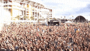 insomniacevents edc insomniac edcorlando GIF