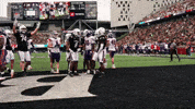 Cincinnati Football GIF by Cincinnati Bearcats
