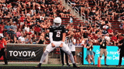 Cincinnati Football GIF by Cincinnati Bearcats