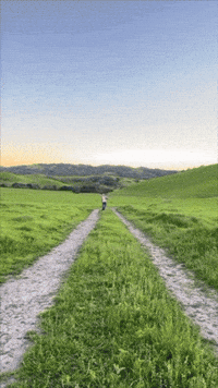 Good Morning Dancing GIF by seiji oda