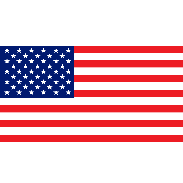 Usa Flag Sticker by LPGA