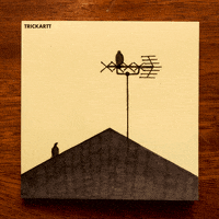 trickartt birds swing pigeon roof GIF
