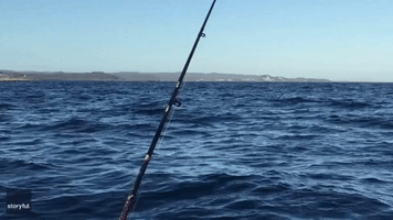 Whale Performs Spinning Breach Near Fishing Boat at Cape Moreton, Queensland