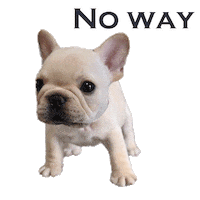Happy Dogs Sticker