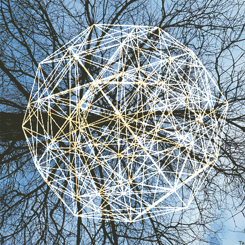 Time Tree GIF by Trevor Anderson