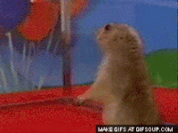 suprised GIF