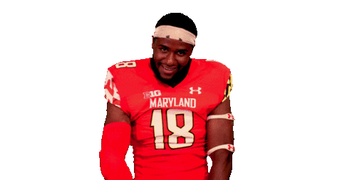 College Football Sticker by Maryland Terrapins